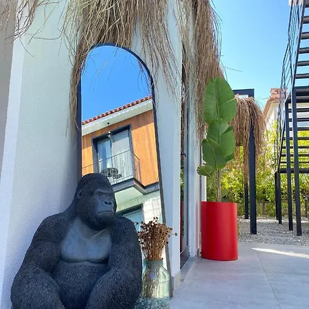 Primus Adult Only アラカティ