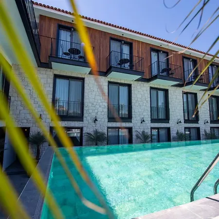 Primus Adult Only アラカティ