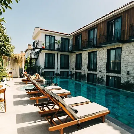 Primus Adult Only アラカティ