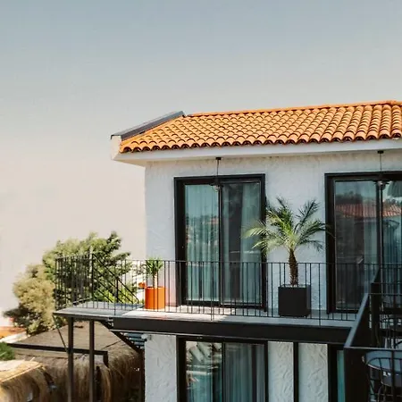 Primus Adult Only ホテル