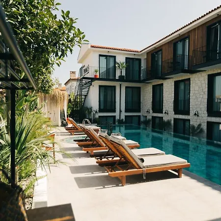 Primus Adult Only アラカティ